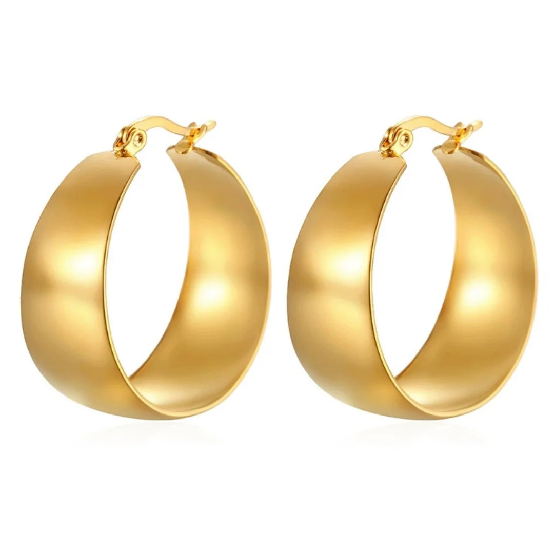 Stainless Steel Glossy Curved Round Earrings